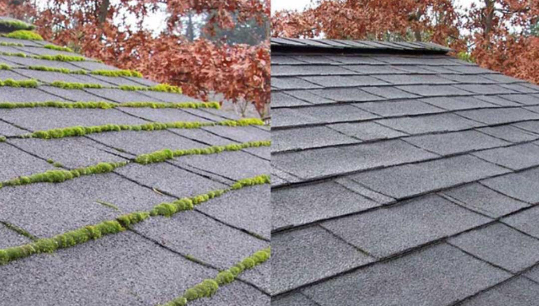 Roof & Surface Care Dorset, UK Roof & Surface Care Dorset, UK