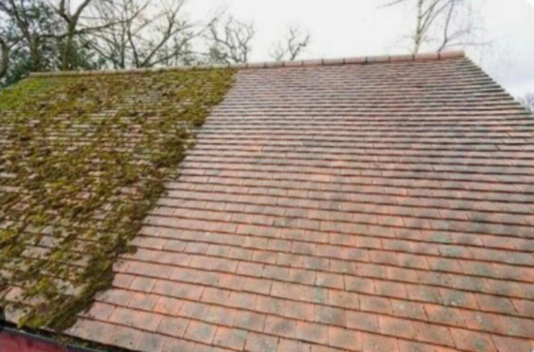 Roof & Surface Care Dorset, UK Roof & Surface Care Dorset, UK